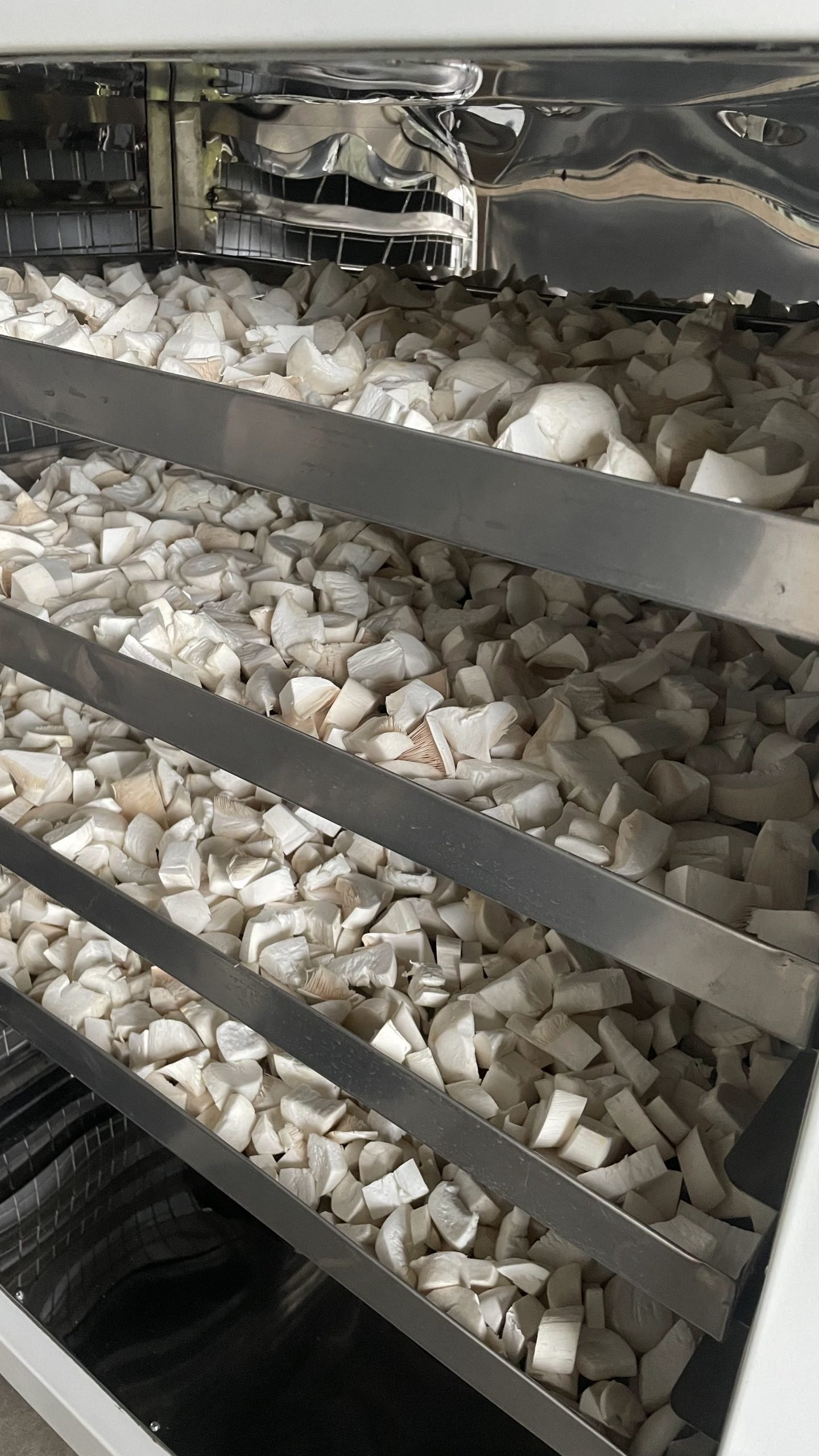 Dry milkymushrooms 