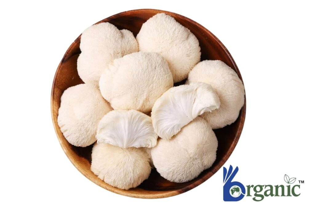 Lion’s Mane Mushrooms